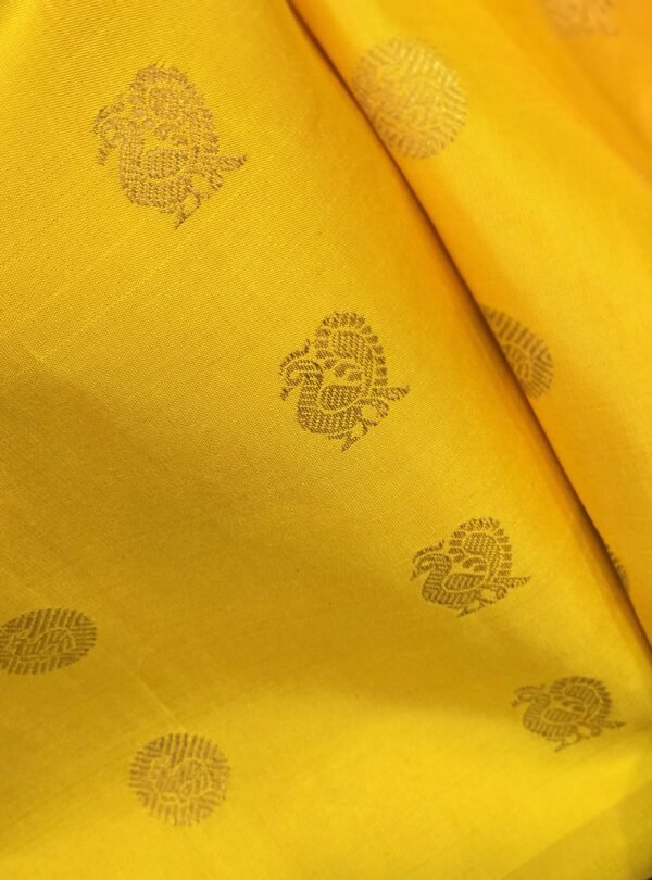 Turmeric - Image 5